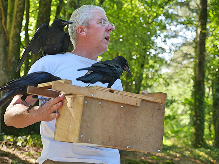 This French Theme Park Has 6 Crow 'Employees' Who Pick Up Trash