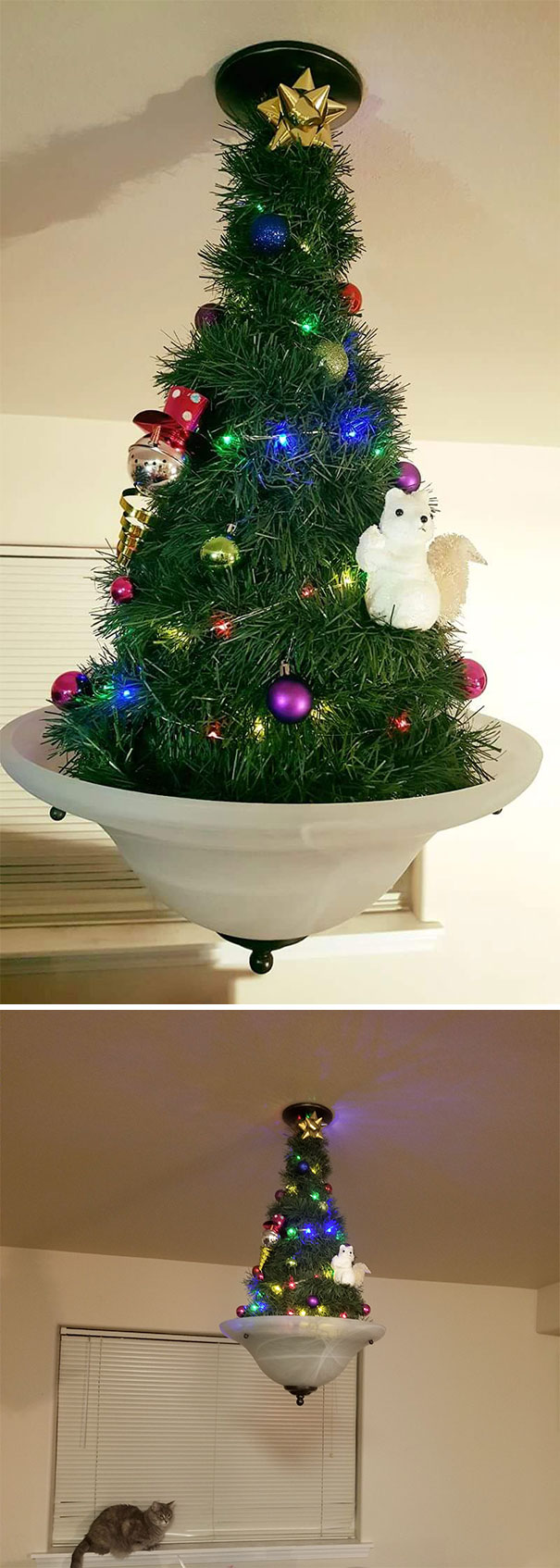 Set Up A Cat-Proof Tree Tonight