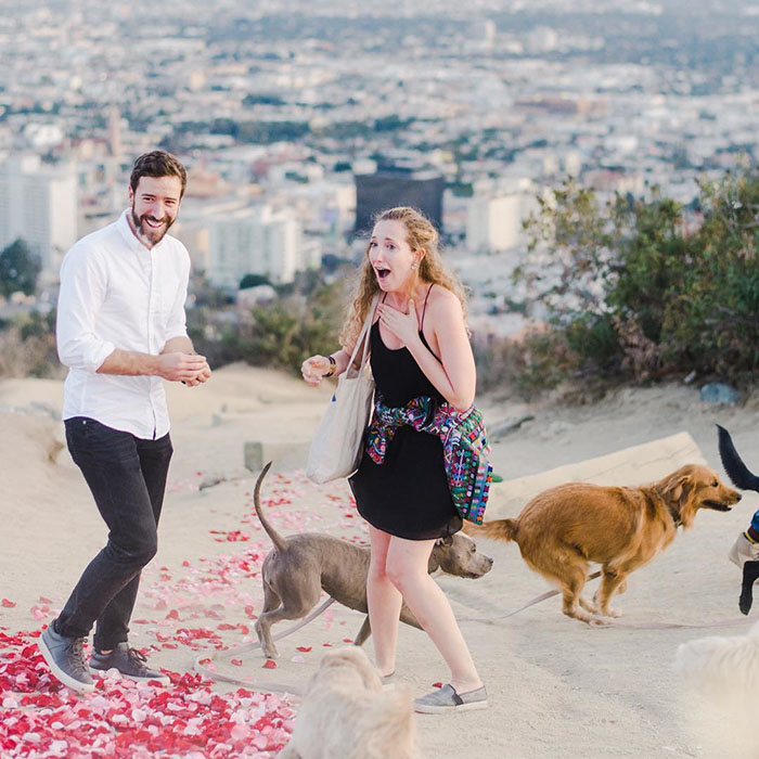 This Girl&rsquo;s Reaction To Her Boyfriend Proposing With 16 Dogs Is Priceless