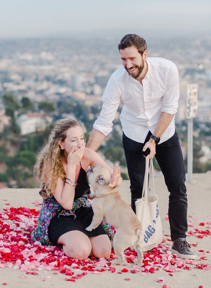 This Girl&rsquo;s Reaction To Her Boyfriend Proposing With 16 Dogs Is Priceless