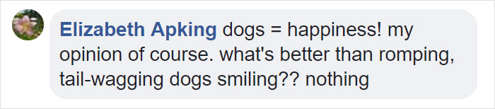 This Girl&rsquo;s Reaction To Her Boyfriend Proposing With 16 Dogs Is Priceless