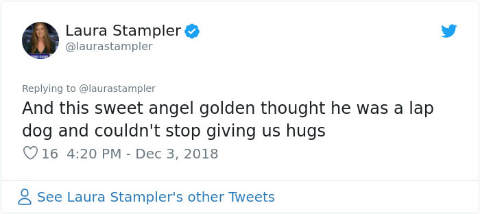 This Girl&rsquo;s Reaction To Her Boyfriend Proposing With 16 Dogs Is Priceless