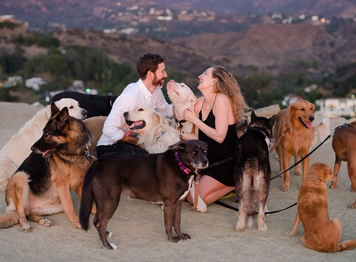 This Girl&rsquo;s Reaction To Her Boyfriend Proposing With 16 Dogs Is Priceless