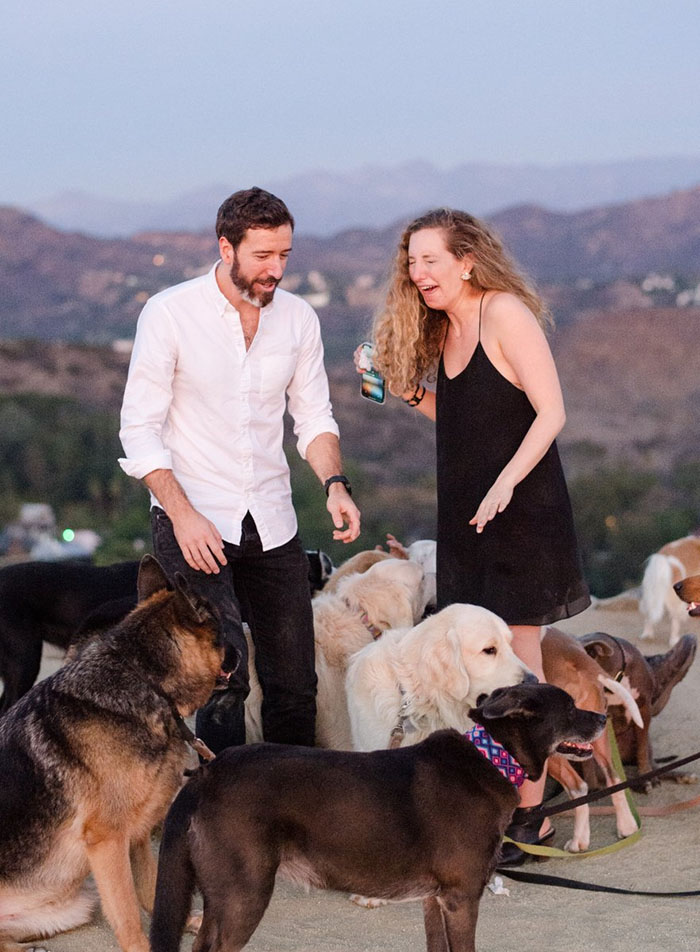 This Girl&rsquo;s Reaction To Her Boyfriend Proposing With 16 Dogs Is Priceless