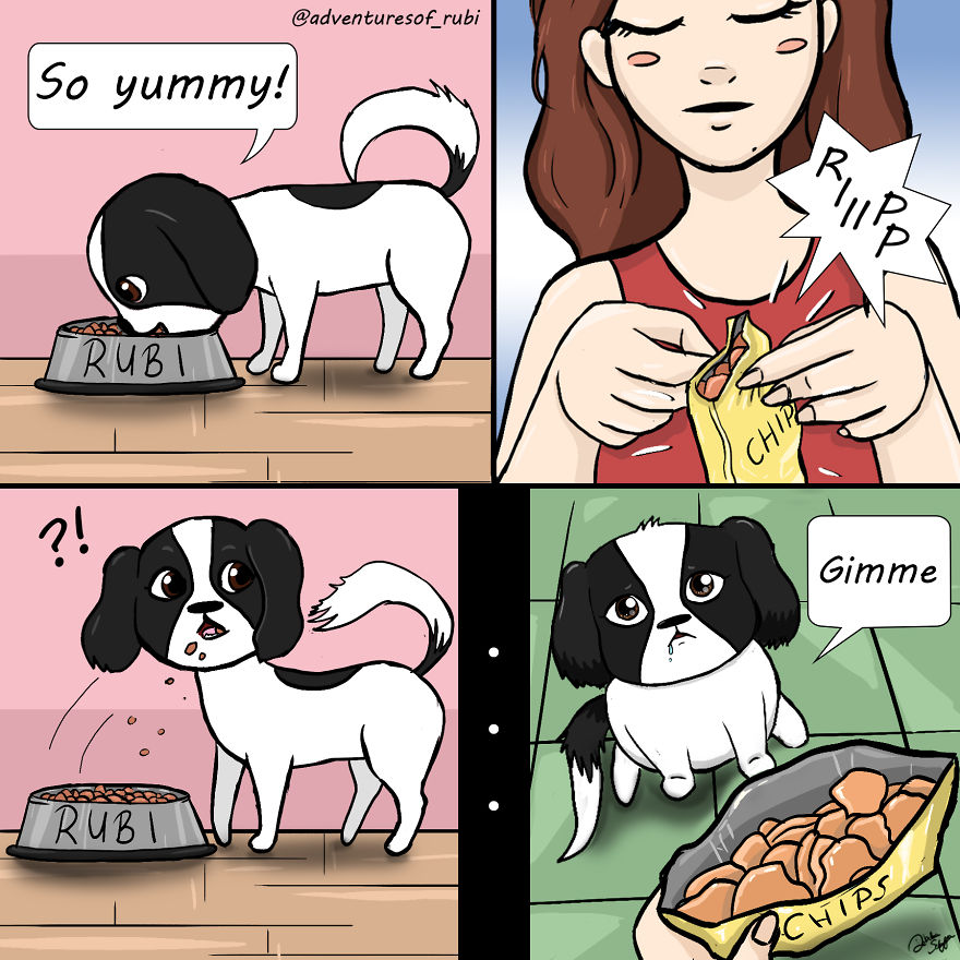 12 Comics That Every Dog Owners Will Understand