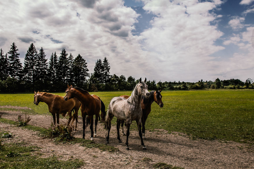 I Love To Run Away With My Camera (Part 2)