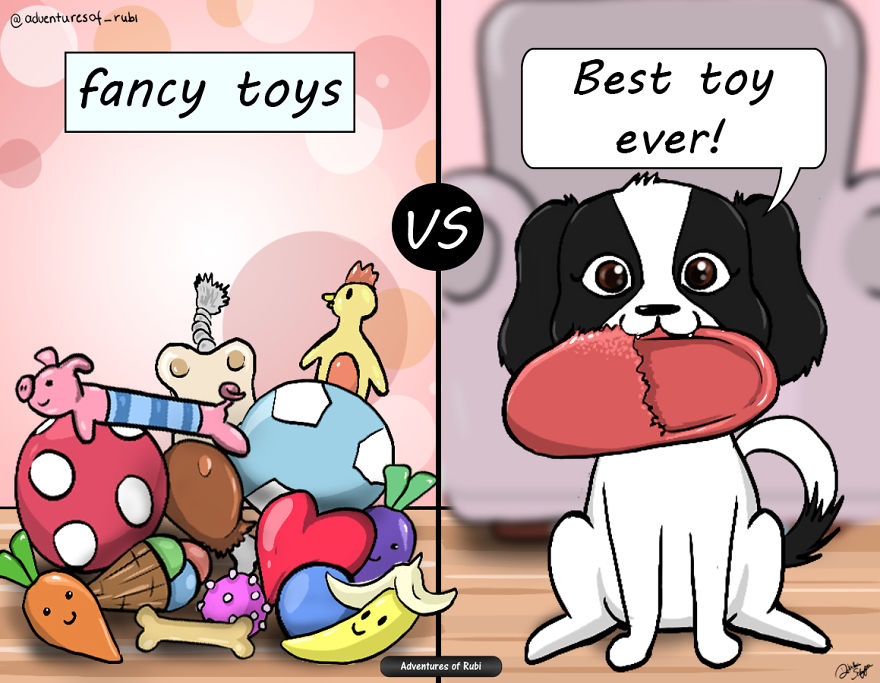 12 Comics That Every Dog Owners Will Understand