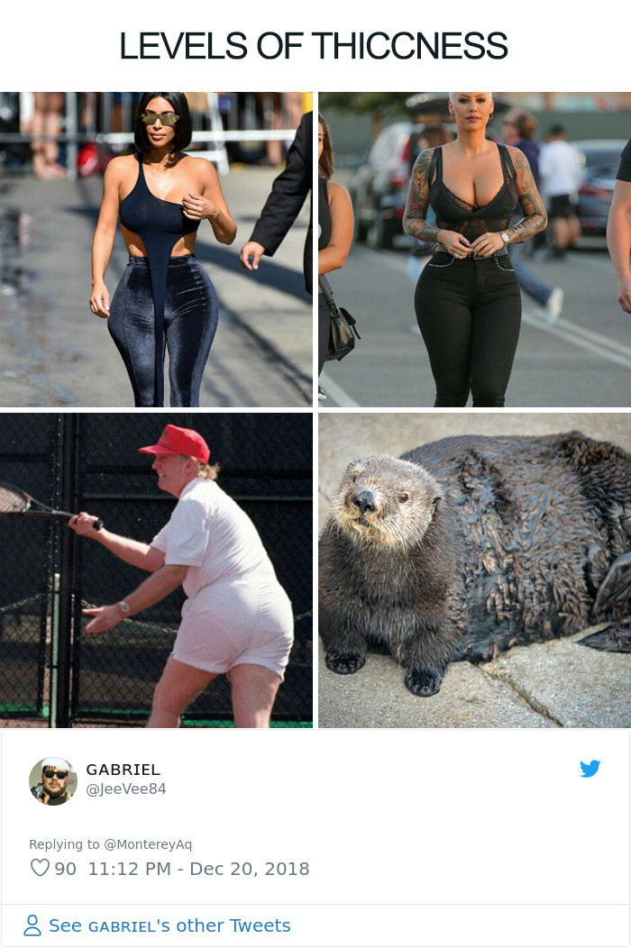 Aquarium Fat-Shames One Of Their Otters, Gets Instantly Murdered By Words