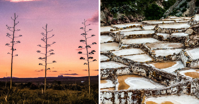 Wild Beauty Of South America