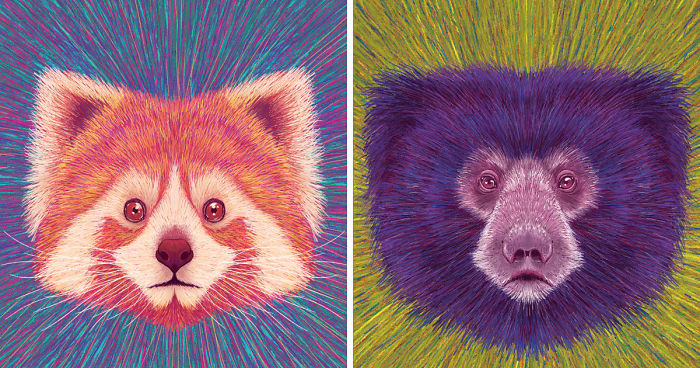 Calendar 2019 – Losing Wildlife