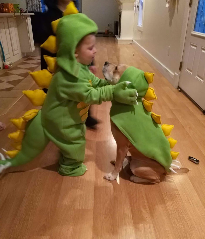 I Volunteer For A Dog Rescue, We Love Seeing Updates Of The Dogs In Their New Homes. This One Made Me Smile