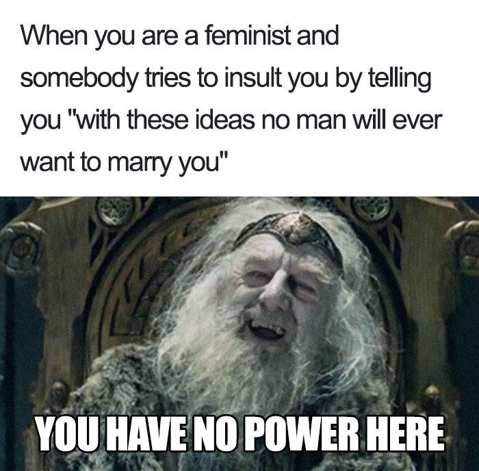 Feminist meme featuring a character looking amused with text responding to a common insult about marriage.