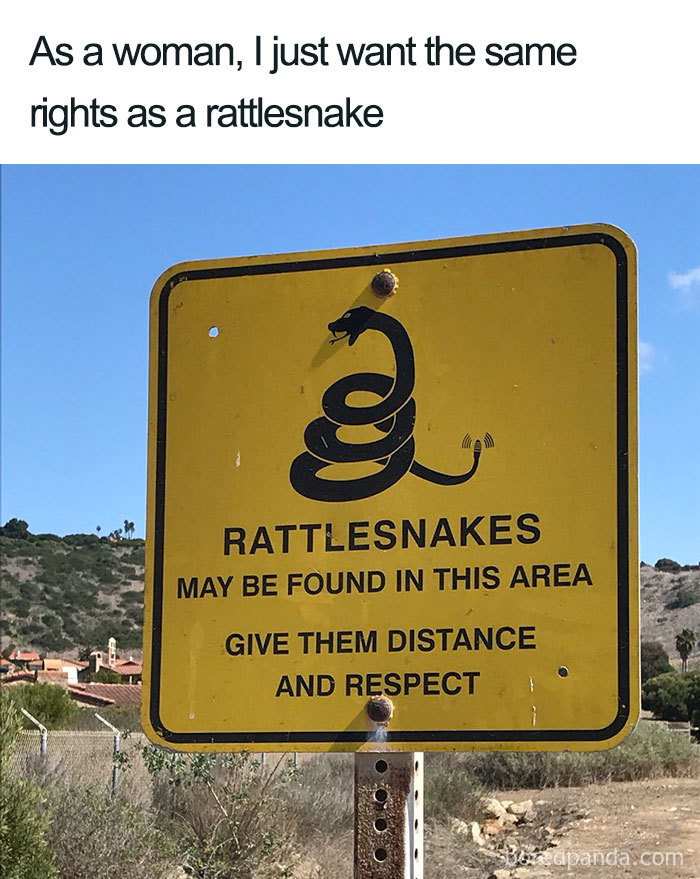 Yellow sign about rattlesnake safety with a feminist meme about women's rights, highlighting humor and truth.