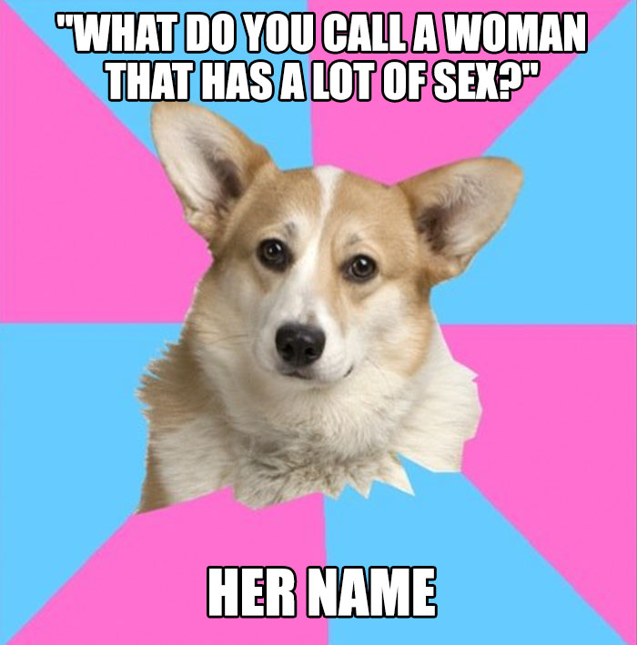 Corgi meme with a feminist message challenging stereotypes using humor.