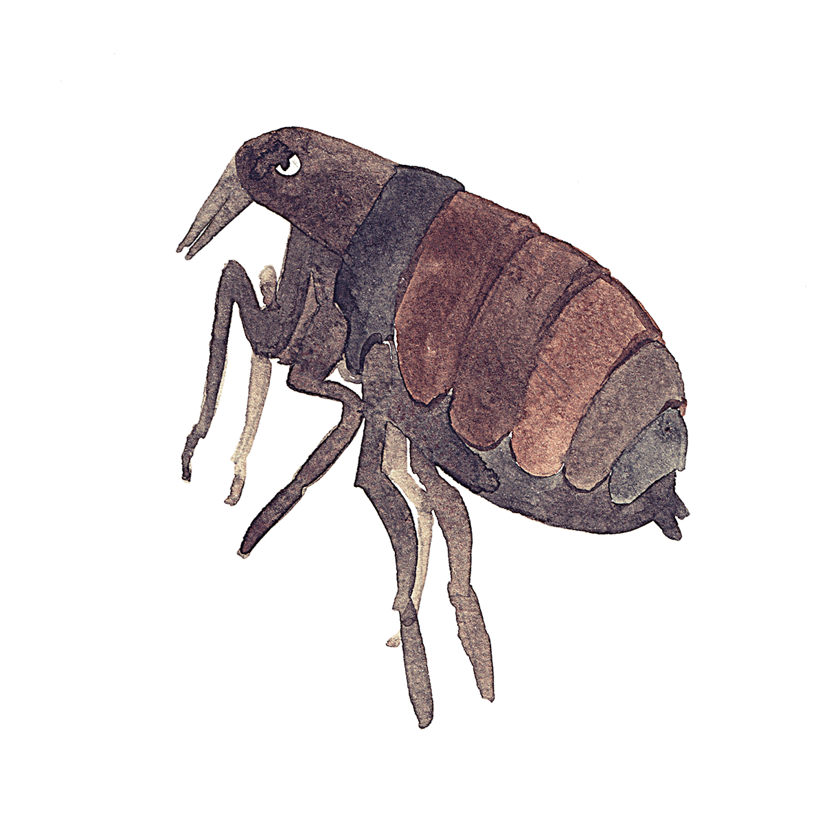 I Wrote, Illustrated And Animated A Motion Book For Kids