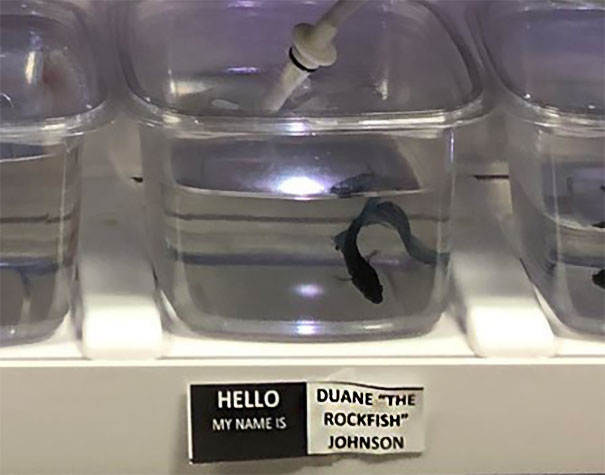 Duane "The Rockfish" Johnson