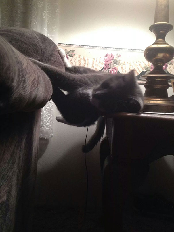 I Know Cats Like To Sleep In Weird Positions, But This Is Probably The Most Ridiculous