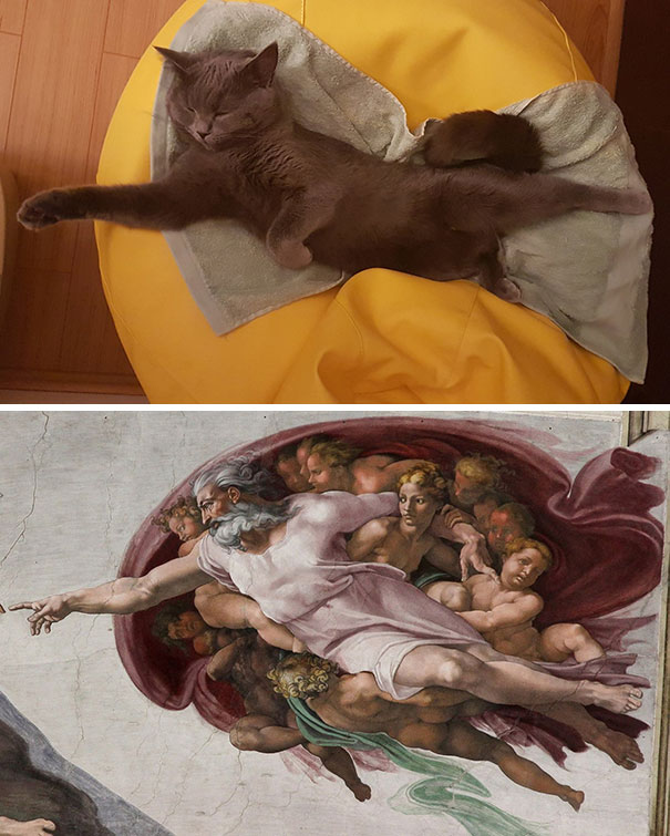 So I Caught My Cat Sleeping In This Position