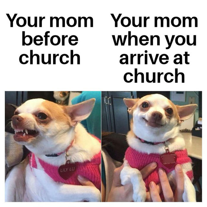 Funny Christian meme with two images of a Chihuahua, before and after arriving at church.