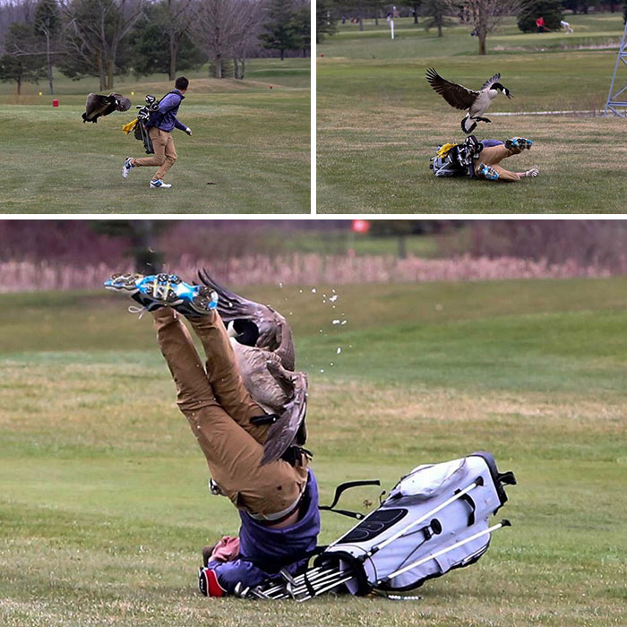 Rough Day On The Course