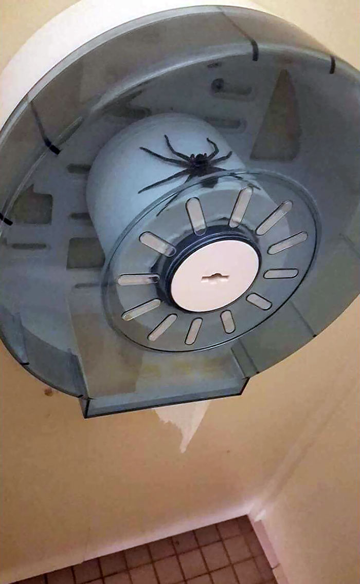 Damned If You Do, Damned If You Don't