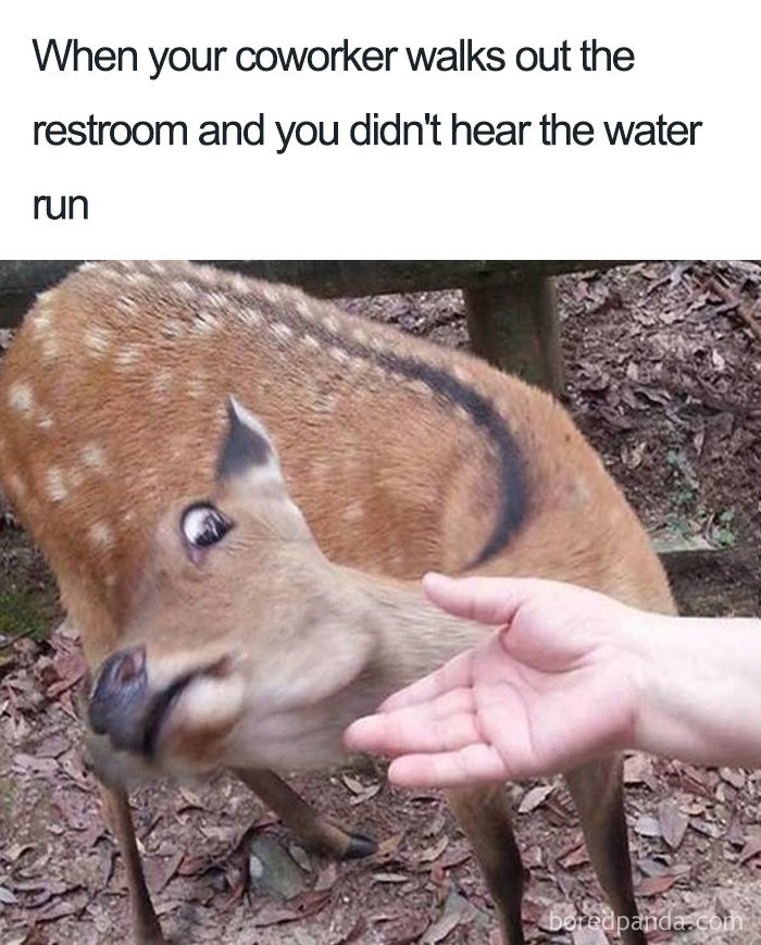 Deer looking confused at a hand. Text joke about coworkers leaving restrooms without washing hands. Coworker memes humor.