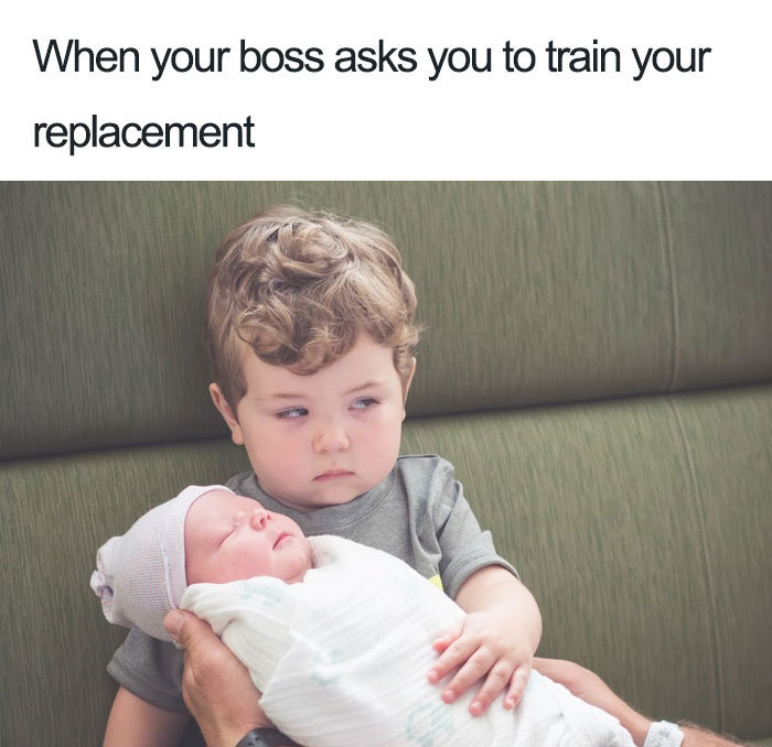 49 Of The Funniest Coworker Memes Ever