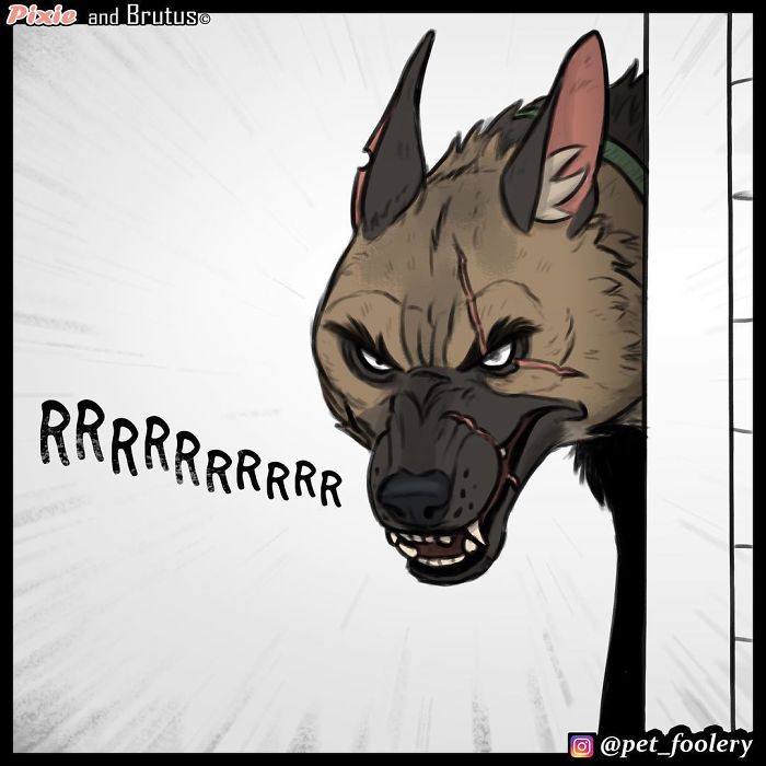 4 New Pixie And Brutus Comics That Will Make Your Day