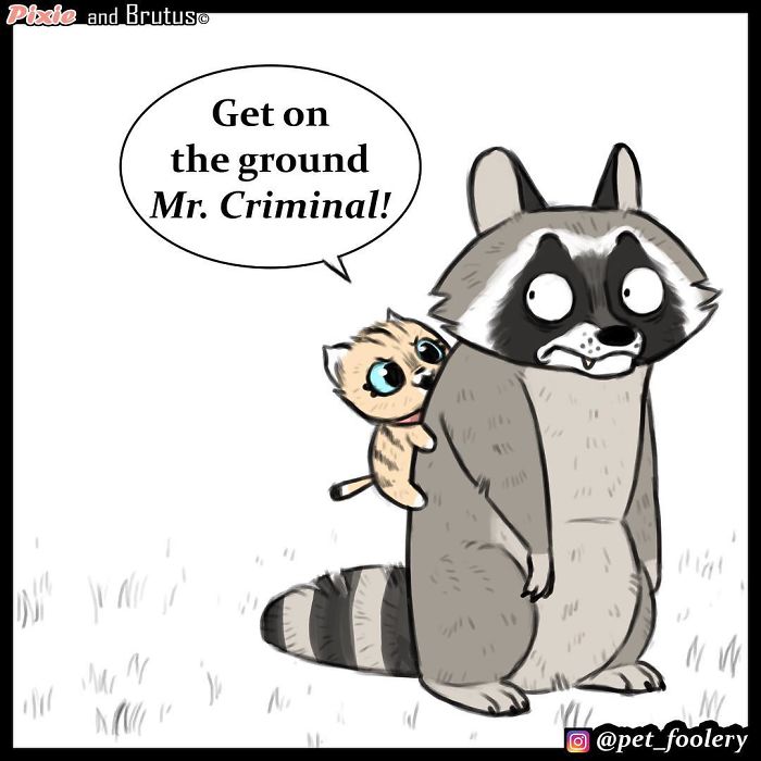 4 New Pixie And Brutus Comics That Will Make Your Day