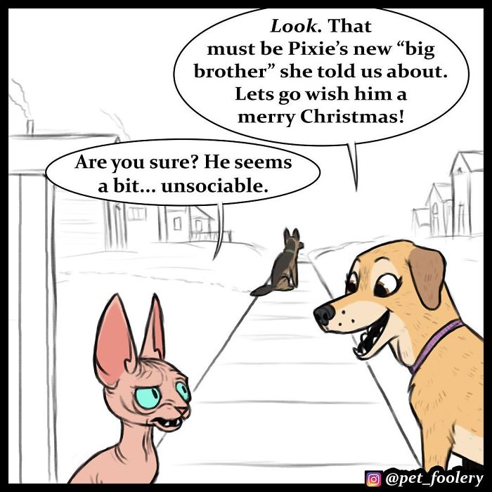 4 New Pixie And Brutus Comics That Will Make Your Day