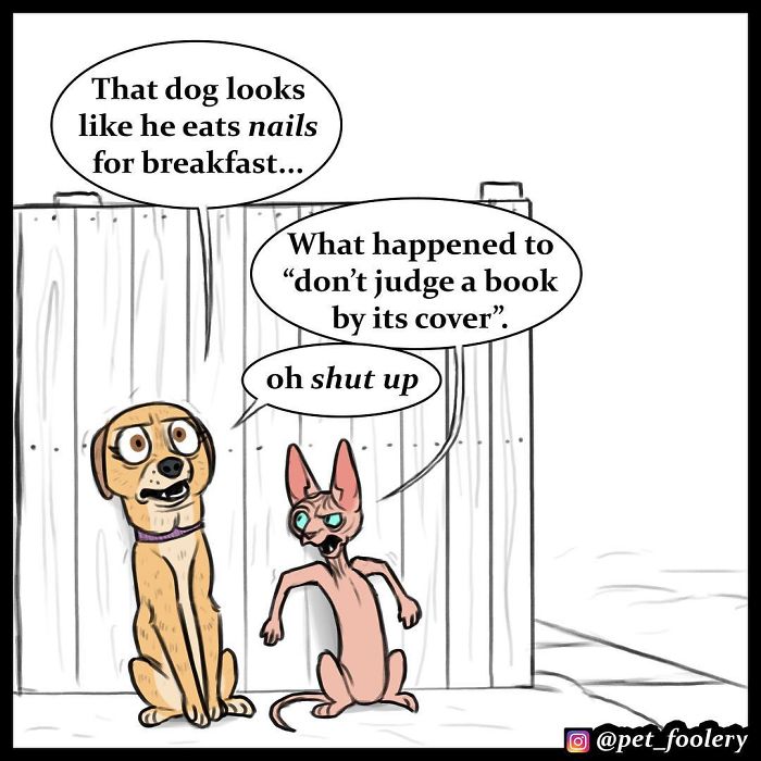 4 New Pixie And Brutus Comics That Will Make Your Day