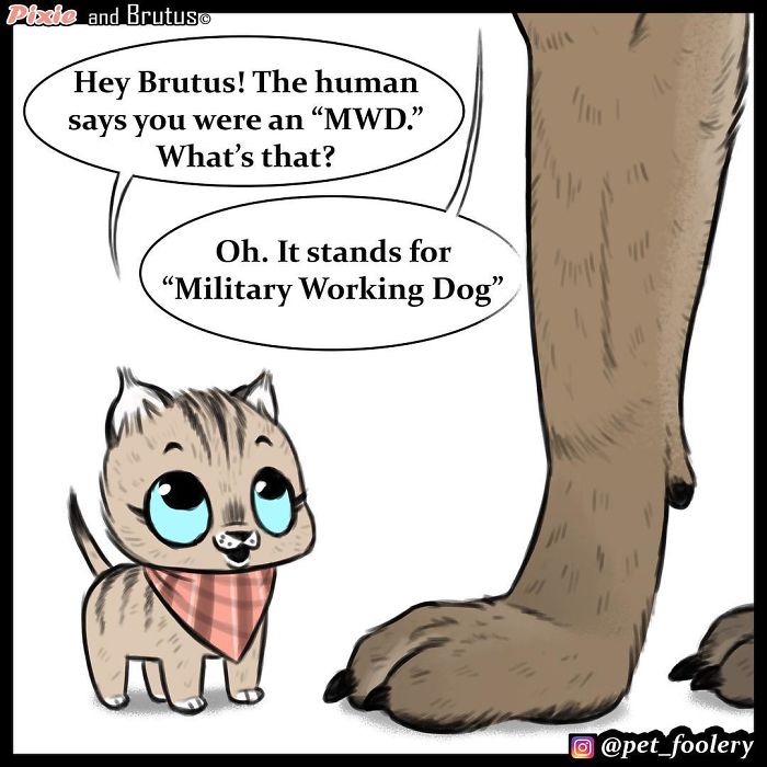 4 New Pixie And Brutus Comics That Will Make Your Day