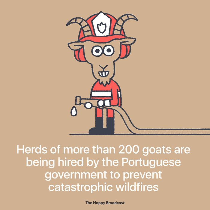 2019 Is Almost Here. It's Time To Enjoy All The (Illustrated) Good News Of 2018!