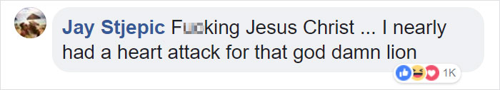 Lion Is Losing Fight Against 20 Hyenas, Bro Hears His Cries And Rushes To Save Him Lion Is Losing Fight Against 20 Hyenas, Bro Hears His Cries And Rushes To Save Him