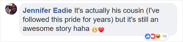 Lion Is Losing Fight Against 20 Hyenas, Bro Hears His Cries And Rushes To Save Him Lion Is Losing Fight Against 20 Hyenas, Bro Hears His Cries And Rushes To Save Him