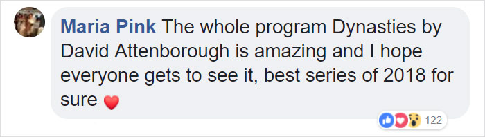 Lion Is Losing Fight Against 20 Hyenas, Bro Hears His Cries And Rushes To Save Him Lion Is Losing Fight Against 20 Hyenas, Bro Hears His Cries And Rushes To Save Him