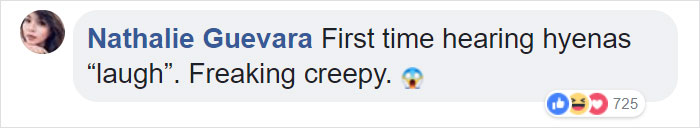 Lion Is Losing Fight Against 20 Hyenas, Bro Hears His Cries And Rushes To Save Him Lion Is Losing Fight Against 20 Hyenas, Bro Hears His Cries And Rushes To Save Him