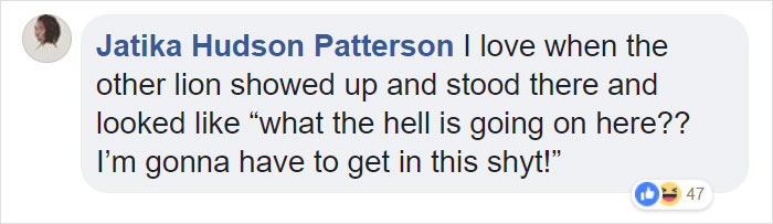 Lion Is Losing Fight Against 20 Hyenas, Bro Hears His Cries And Rushes To Save Him Lion Is Losing Fight Against 20 Hyenas, Bro Hears His Cries And Rushes To Save Him