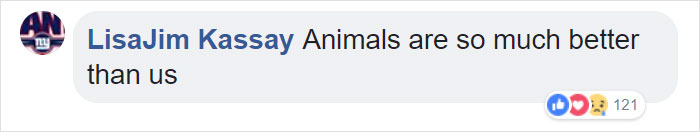 Homeless Man Goes To The Hospital, Staff Soon Realize That He's Not Alone Homeless Man Goes To The Hospital, Staff Soon Realize That He's Not Alone