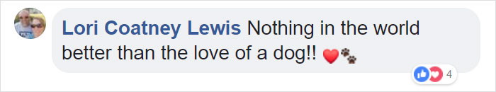 Homeless Man Goes To The Hospital, Staff Soon Realize That He's Not Alone Homeless Man Goes To The Hospital, Staff Soon Realize That He's Not Alone
