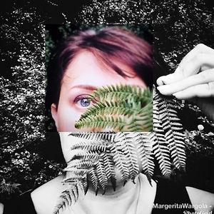 wargola.margerita