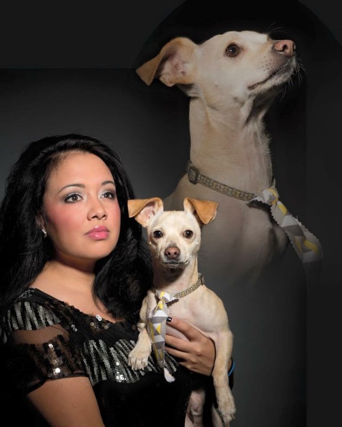 My Dogs Let Me Take Their Photos