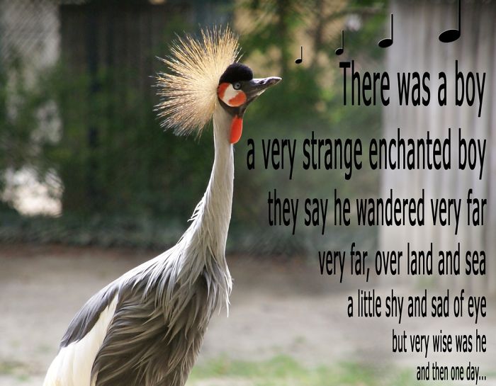 I Create Singing Characters For Zoo Animals I Create Singing Characters For Zoo Animals