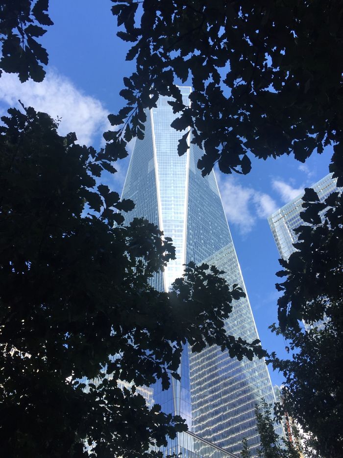 Picture From Washington Dc Last Summer