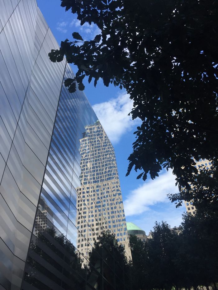 Picture From Washington Dc Last Summer