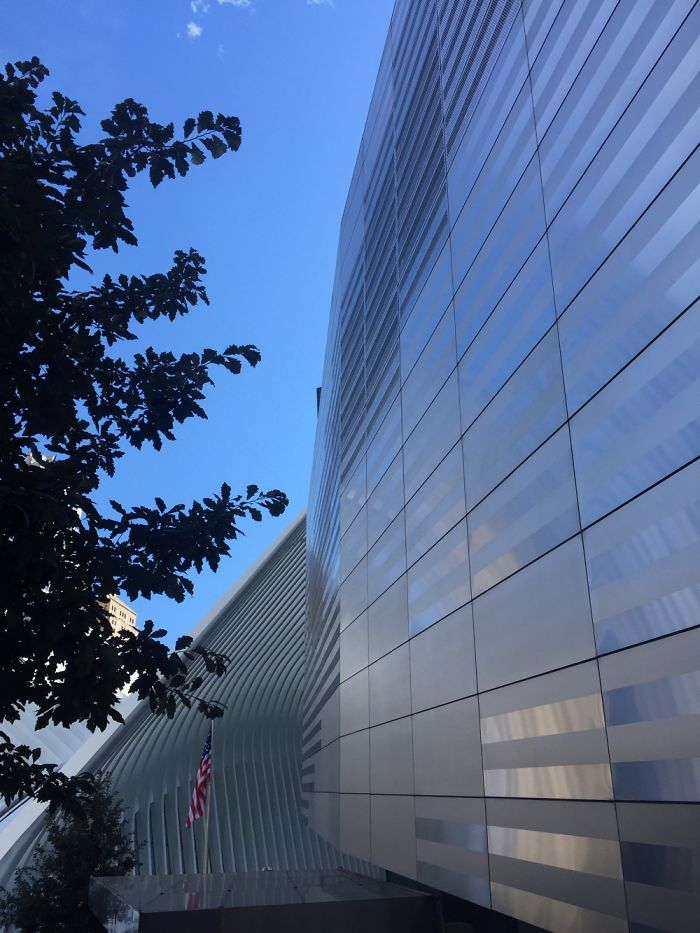 Picture From Washington Dc Last Summer