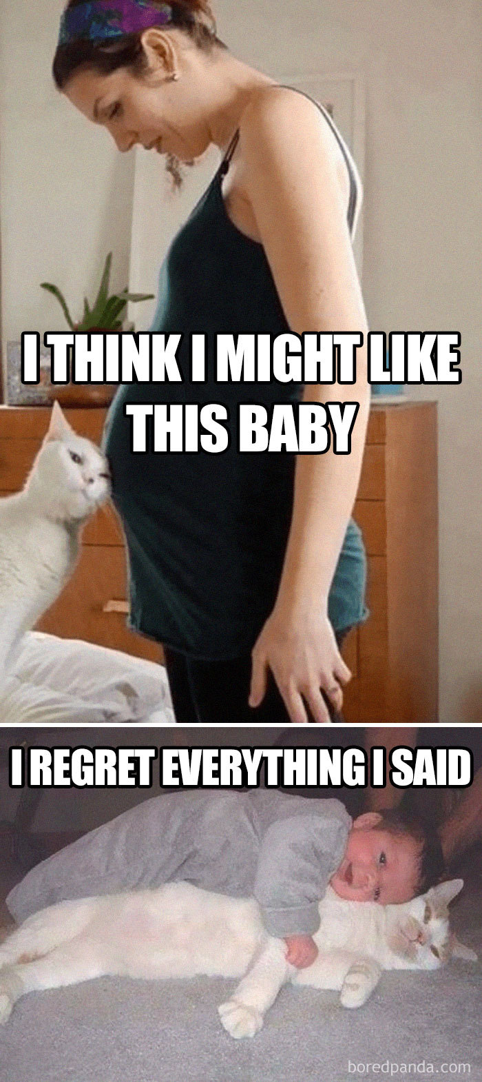 Pregnancy meme showing a cat and a pregnant woman, then a baby lying on the cat with humorous captions.