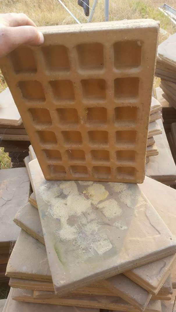 Forbidden Waffle