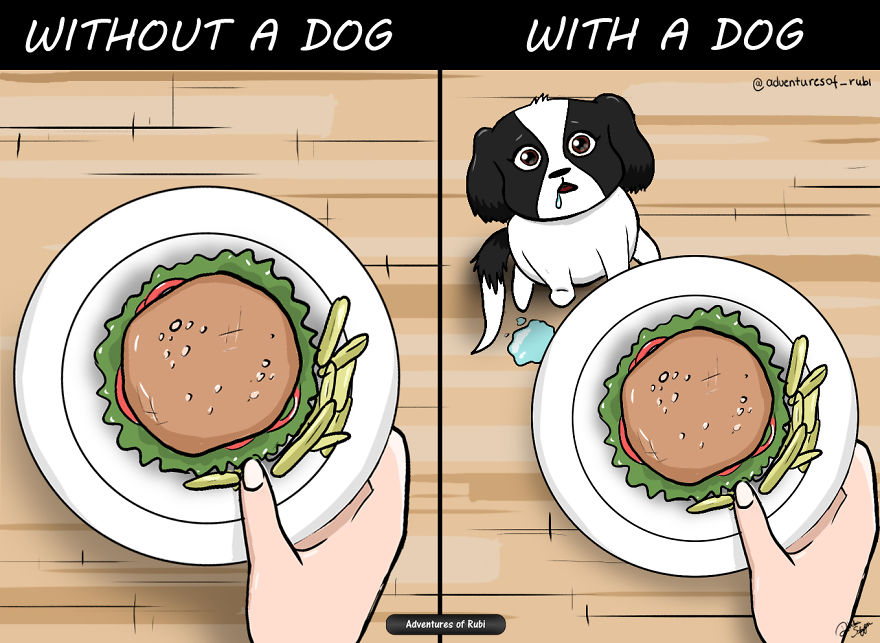 12 Comics That Every Dog Owners Will Understand