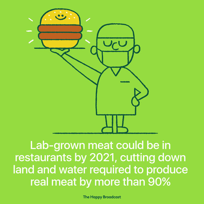 2019 Is Almost Here. It's Time To Enjoy All The (Illustrated) Good News Of 2018!